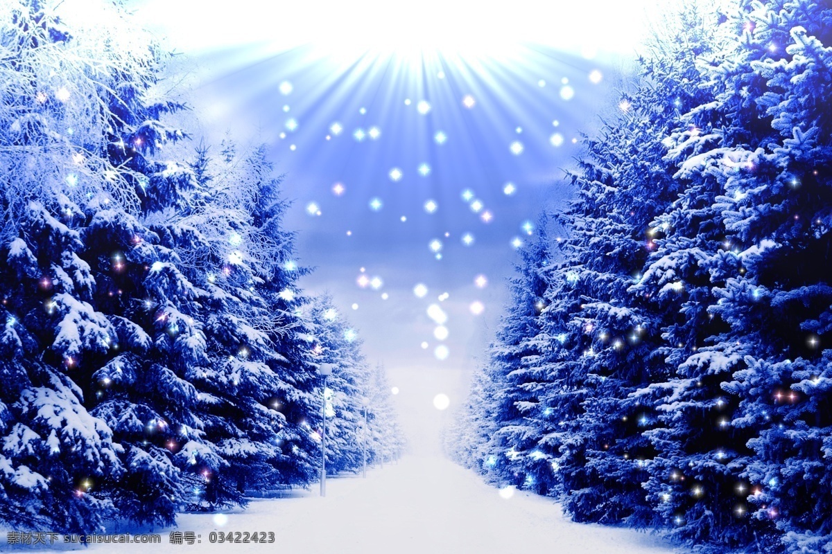 冬季 雪景 冬天 雪花 阳光 放射光芒 美丽风景 景色 美景 树林 自然风景 雪景图片 风景图片