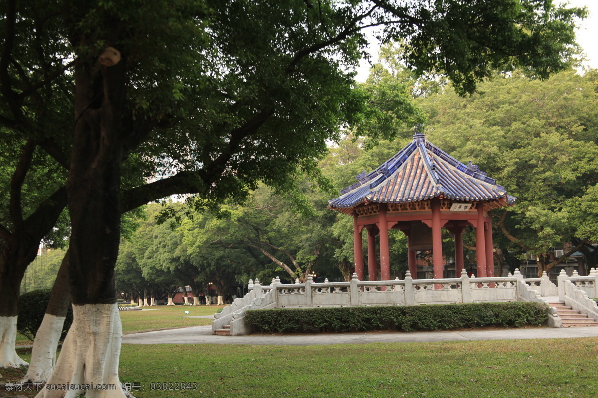 中山大学 广州 古建筑 大自然 摄影相片 自然景观 自然风景