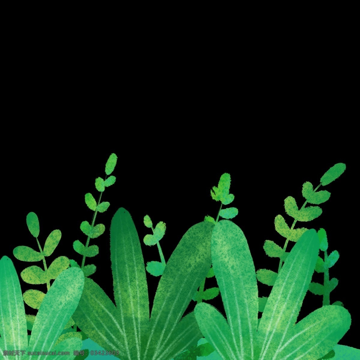 清新 夏日 绿色植物 免 抠 图 夏日植物 春季绿色植物 淡彩植物手绘 季节 节日