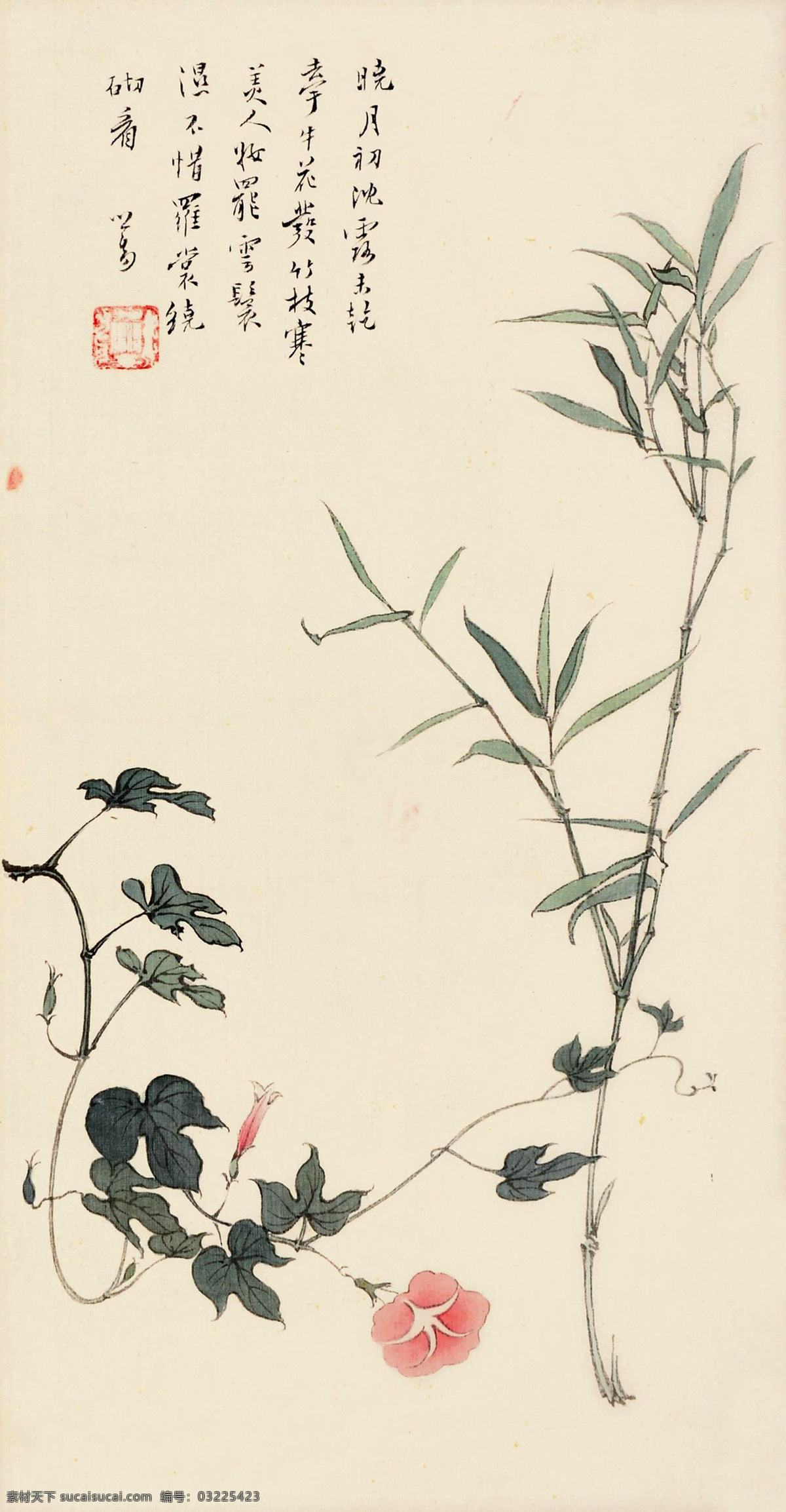 晓月初沉 国画 溥儒 翠竹 竹子 牵牛花 花卉 绘画书法 文化艺术