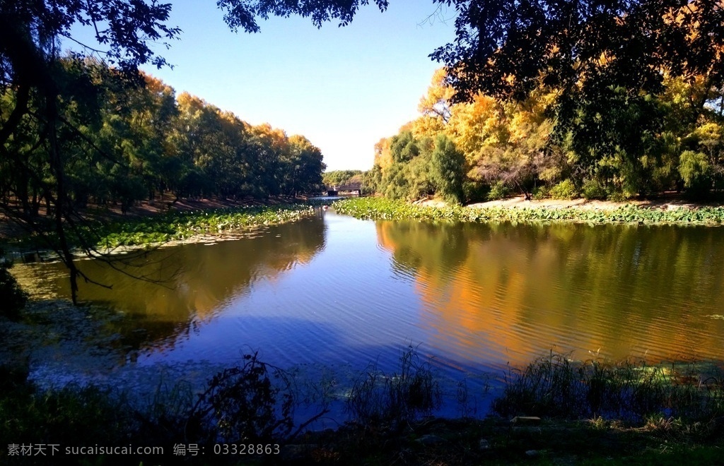 公园湖水 齐齐哈尔 龙沙公园 秋天 蓝天 湖水 树 自然景观 自然风景