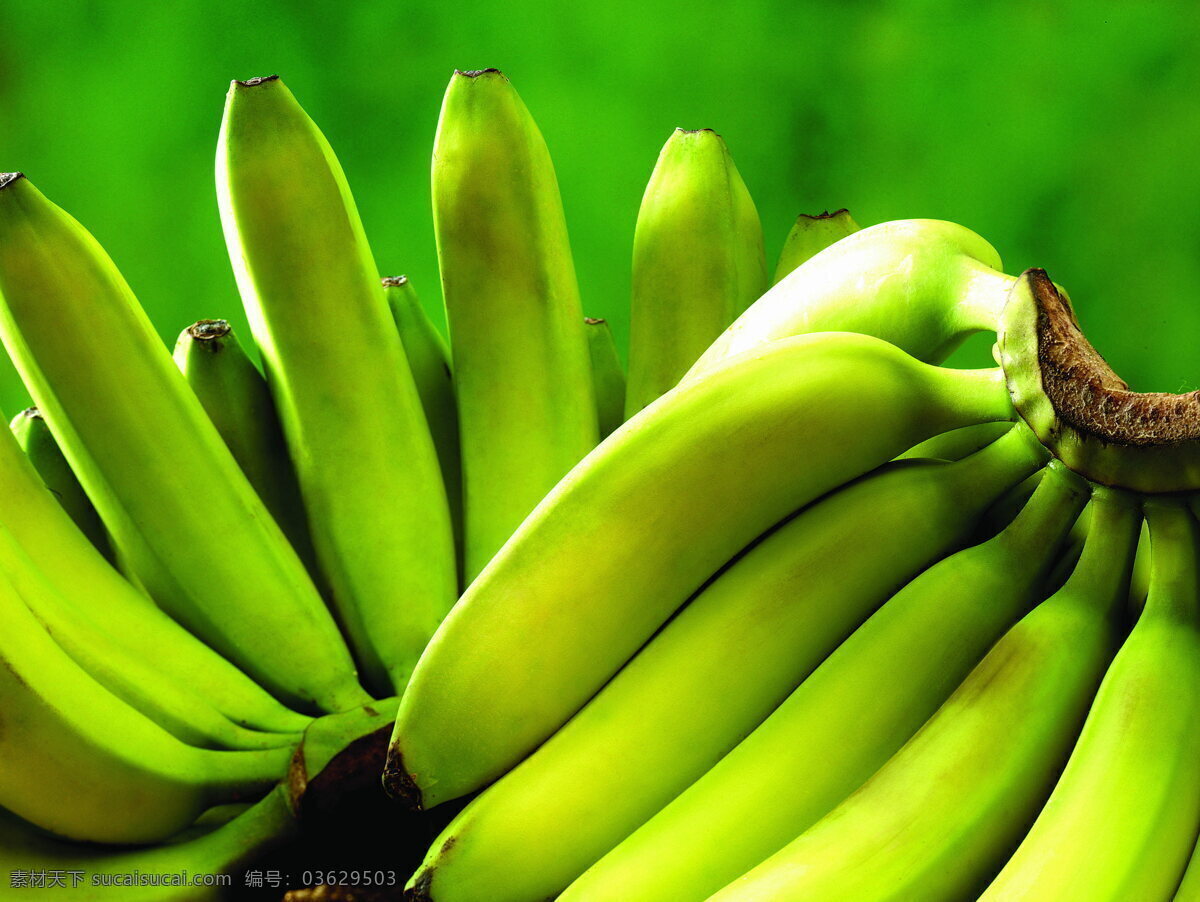 海南 青 香蕉 绿香蕉 香蕉皮 香蕉串 新鲜 青涩
