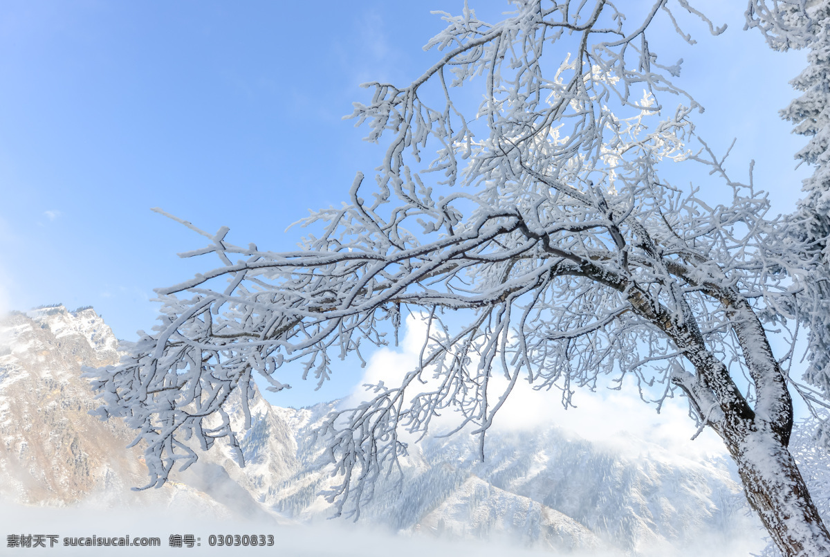 雾凇图片 雾凇 雾凇岛 树挂 吉林 冰柱 自然景观 树 冰天雪地 雪景 唯美 下雪 雪花 雪 霜降 霜 白雾 大寒 小寒 冬天 冬景 旅游摄影 国内旅游