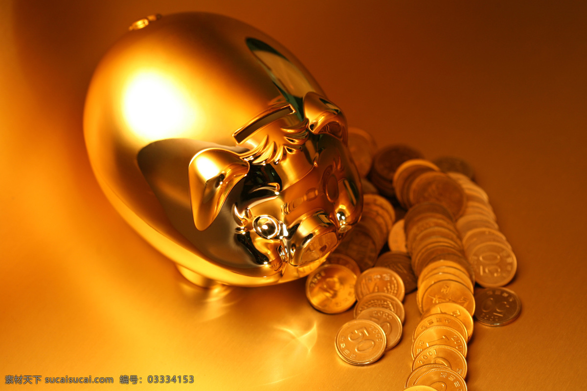 金猪 金融 货币 储钱罐 商务金融 金融货币 摄影图库