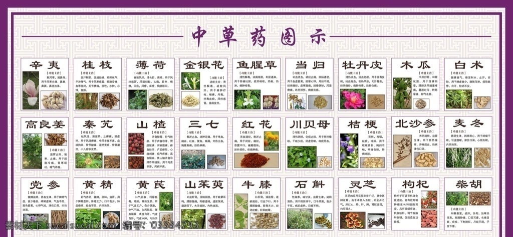 草药图示 草药 中药 灵芝 三七 底纹