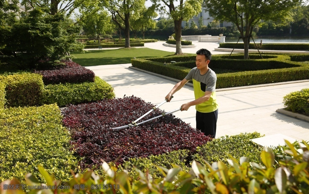 花园修剪 花园 院子 剪刀 工具 修剪 植物 绿色 园艺 生活百科 生活素材