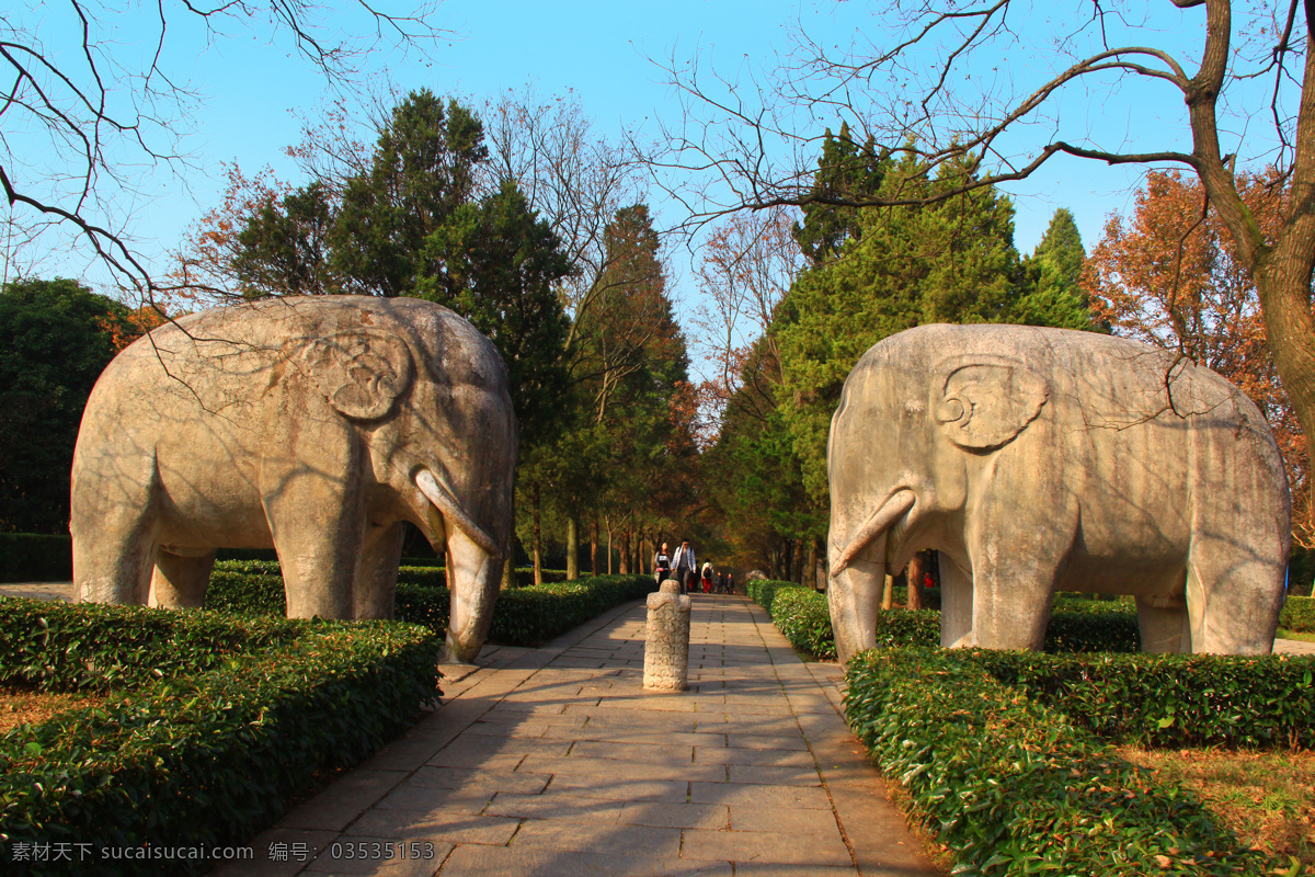 南京明孝陵 明朝帝陵 陵寝 神道 神兽 石兽 钟山风景区 旅游景点 南京旅游 南京 东郊 风景区 风光 旅游摄影 人文景观