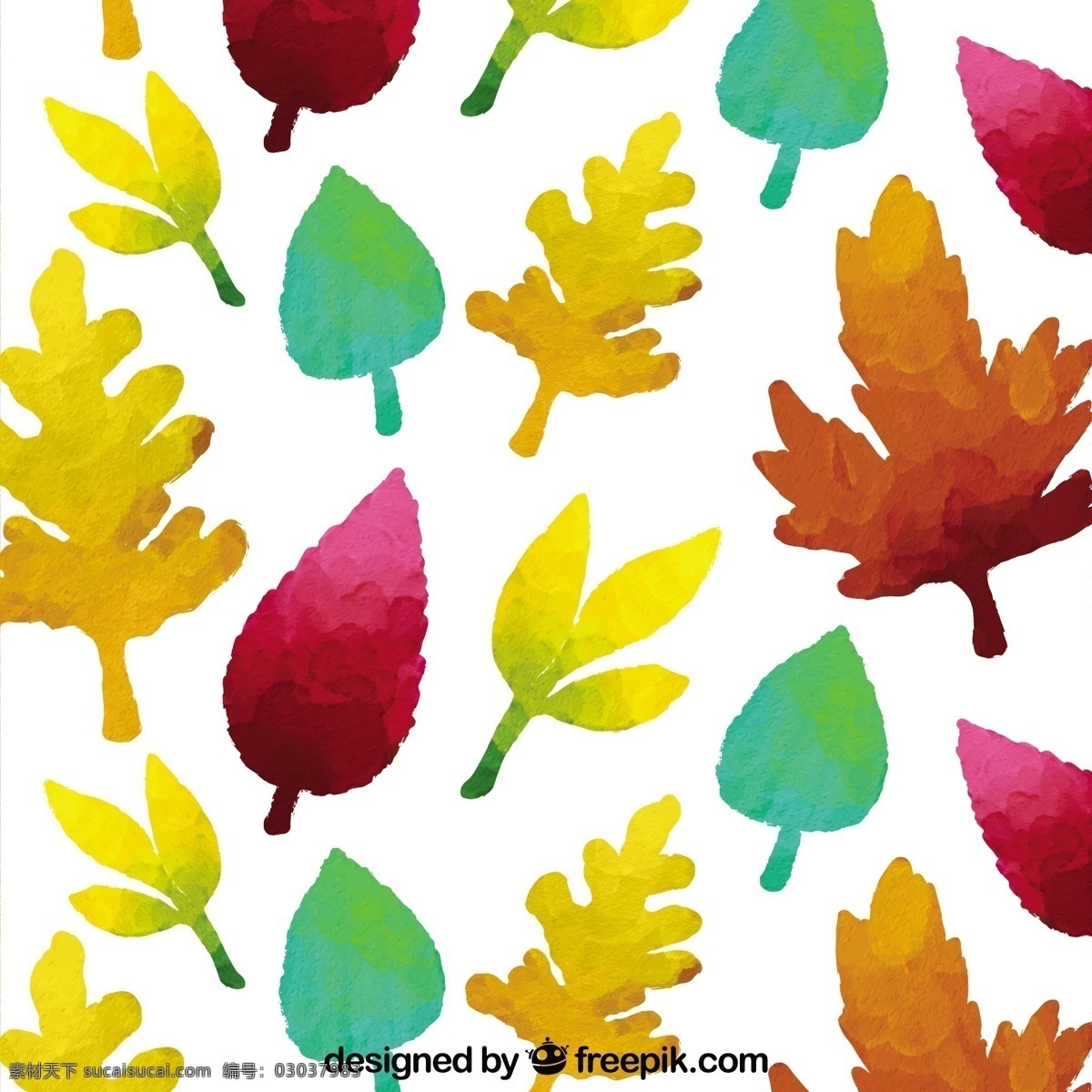 水彩画 叶子 图案 模式 水彩 一方面 自然 叶 秋 油漆 落下 无缝模式 无缝的 秋天的落叶 季节 手画 画的季节 秋天 白色
