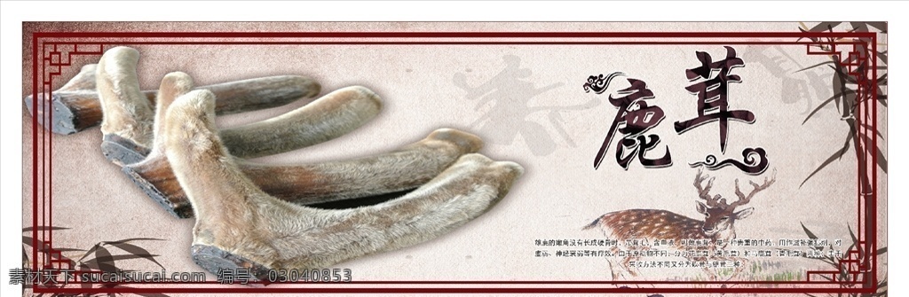 鹿茸 海报 药材 宣传 美容