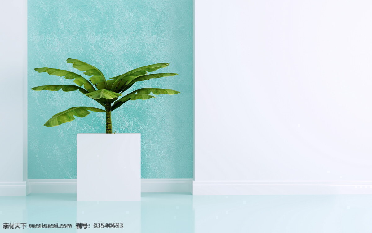 简约 清新 绿植 背景 大气 小清新 装饰 花瓶 白色墙壁 广告背景