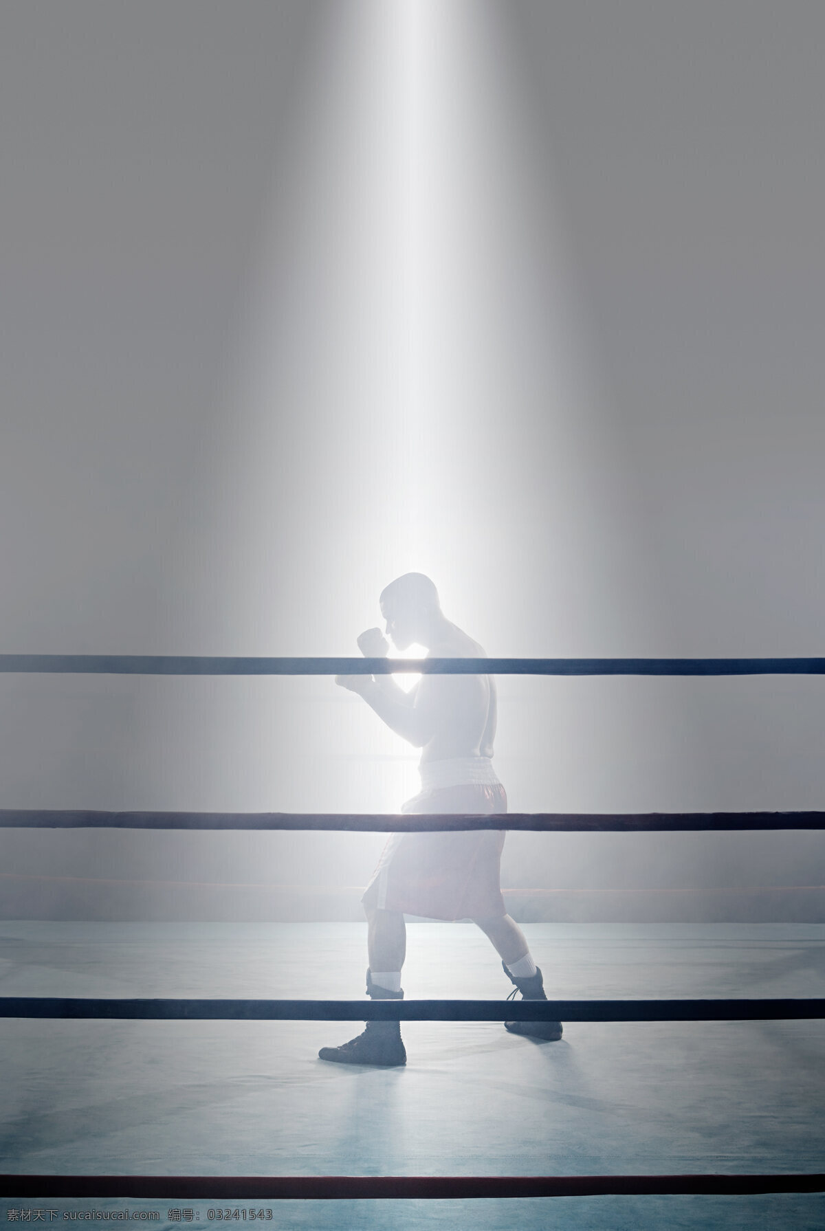 擂台 上 训练 男性 拳击 运动员 体育运动 体育项目 比赛 拳击运动员 欧美 外国男人 强壮 力量 肌肉男 高清图片 商务人士 人物图片