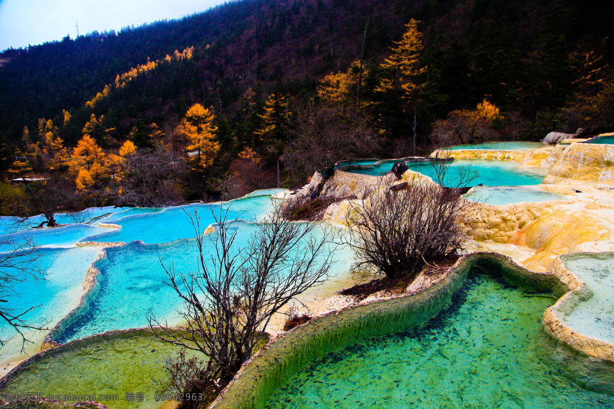 四川黄龙风光 四川黄龙 九寨沟 四川风光 自然风景 最美中国 醉美中国 美丽中国 山清水秀 中国风景 景色怡人 自然景观 风景名胜 下雪 冬季