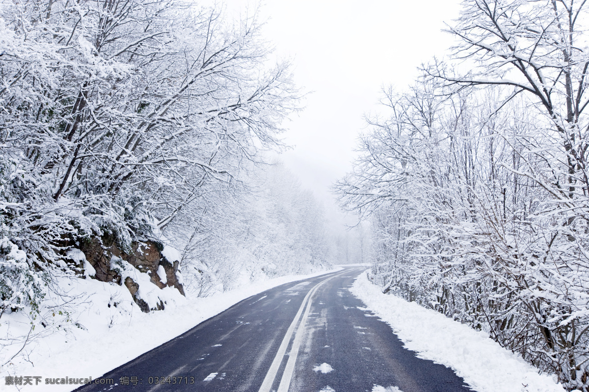 雪天 里 公路 雪天里的公路 道路 树枝 汽车图片 现代科技