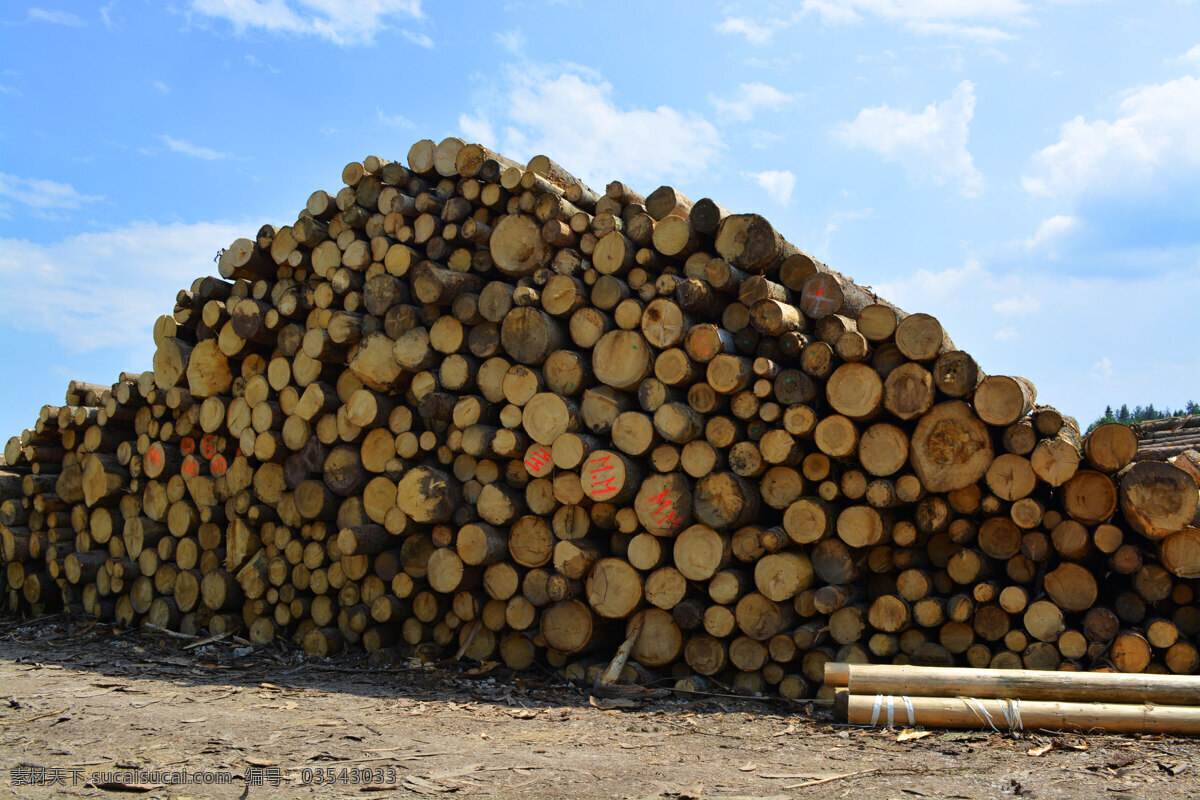 木头 木桩 柴 燃料 树木 木板 木块 旧木料 树干 树 木头素材 木屋