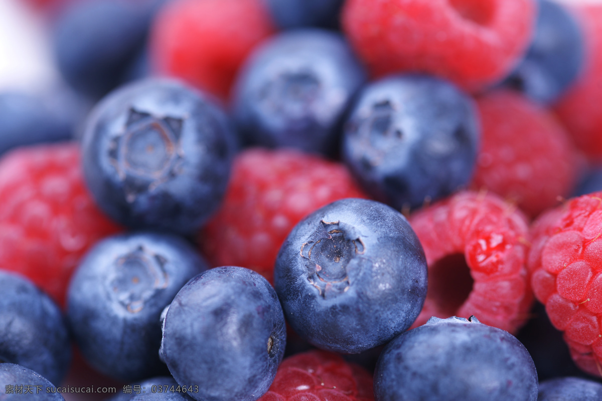 新鲜 蓝莓 树莓 水果 蔬菜图片 餐饮美食