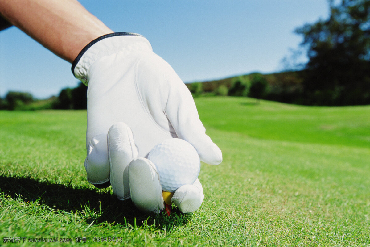 高尔夫 高尔夫球 户外运动 全方位 平面设计 辞典 手套 白手套 文化艺术