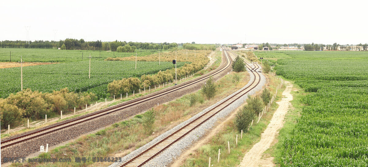 铁道线 夏季 铁路 铁轨 延伸 大地 绿色 风景 旅游摄影 国内旅游