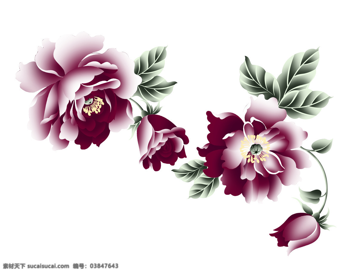 手绘花 高清 封面 插画花 水彩花 白色