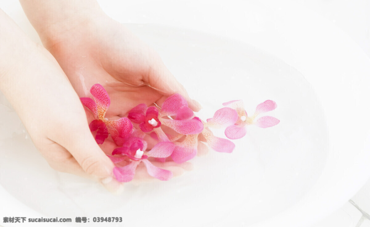 美女洗手 手 水 脸盆 花朵 生活百科 生活素材 摄影图库