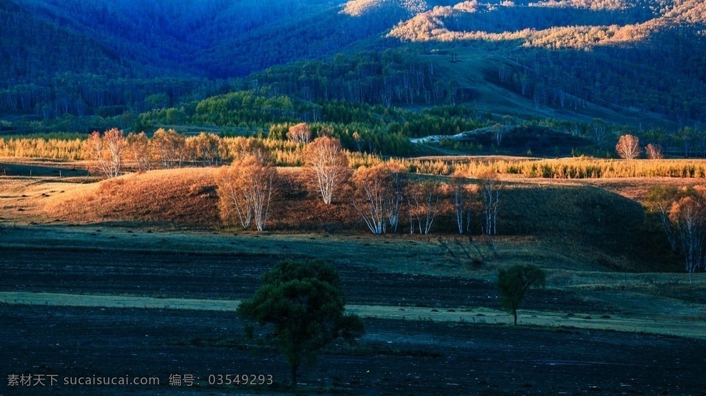 坝上草原 阳光 草地 森林 马场 道路 野花 唯美 风景 风光 自然 河北 坝上 草原 旅游摄影 国内旅游