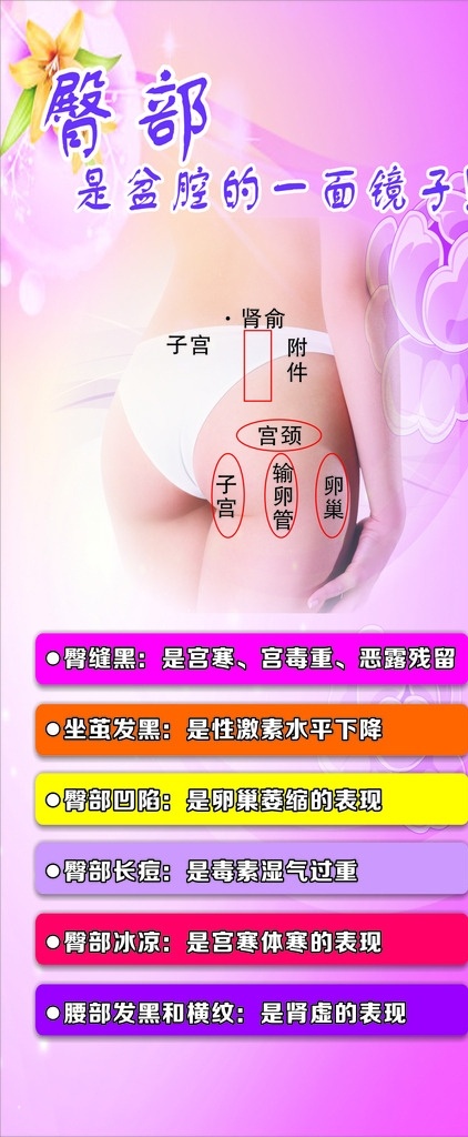臀部养生 臀部穴位 养生 健康 女性 淡紫色 展架 海报