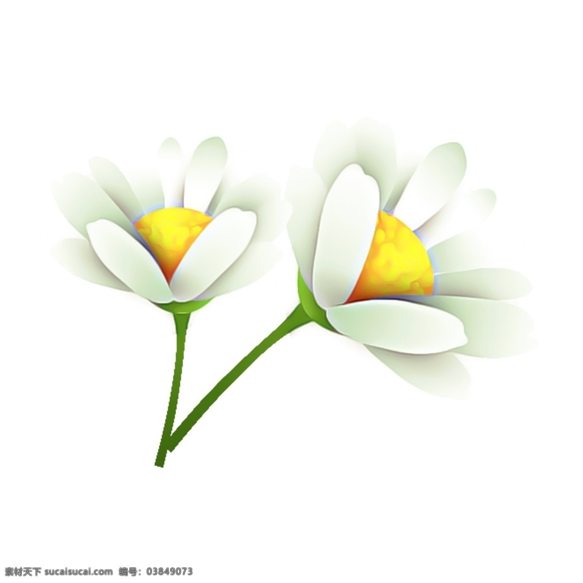 白色 水彩 花卉 透明 装饰 小碎花 鲜花 绿色 叶子 装饰图案 免扣素材