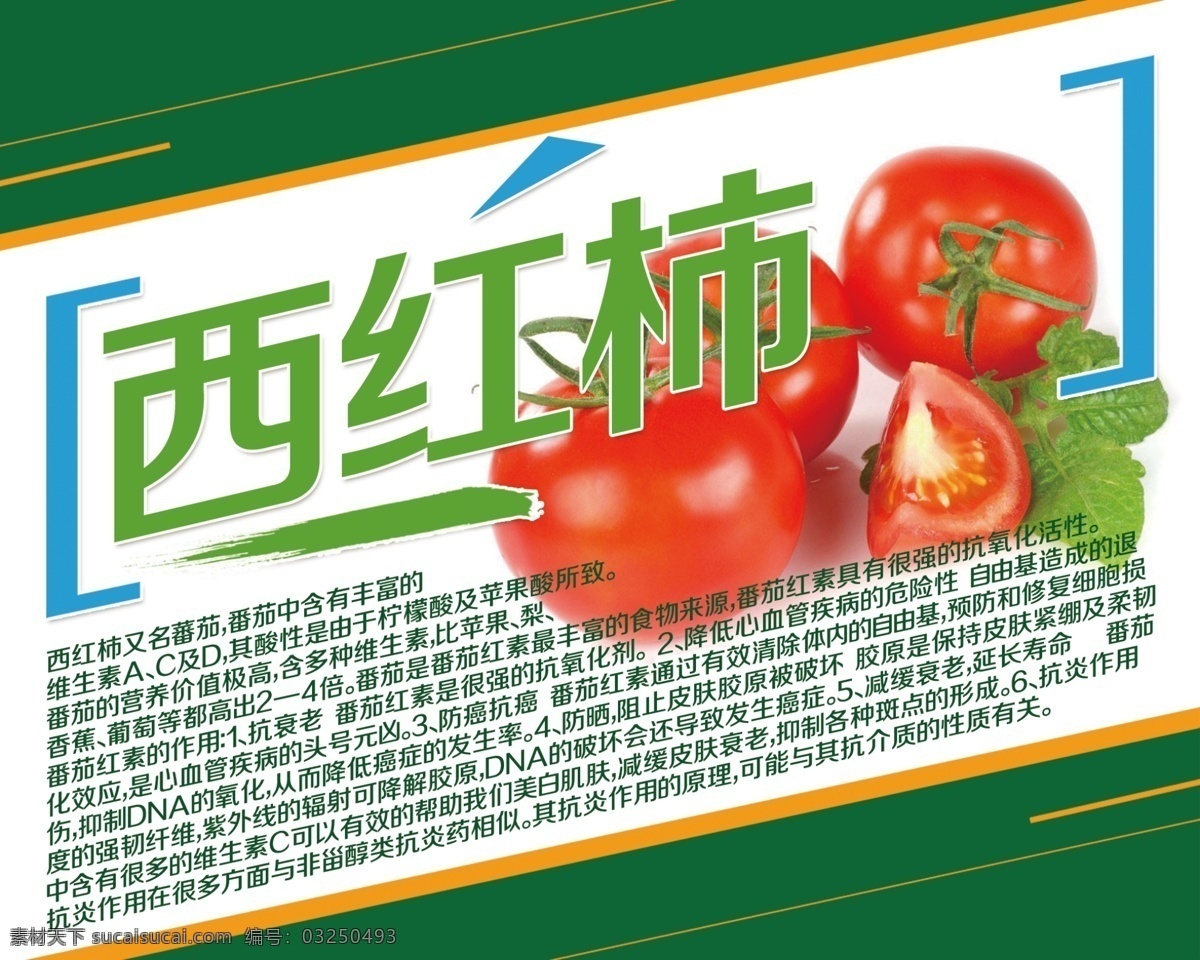 西红柿简介 蔬菜简介 水果简介 水果 蔬菜 展板 蔬菜海报 海报