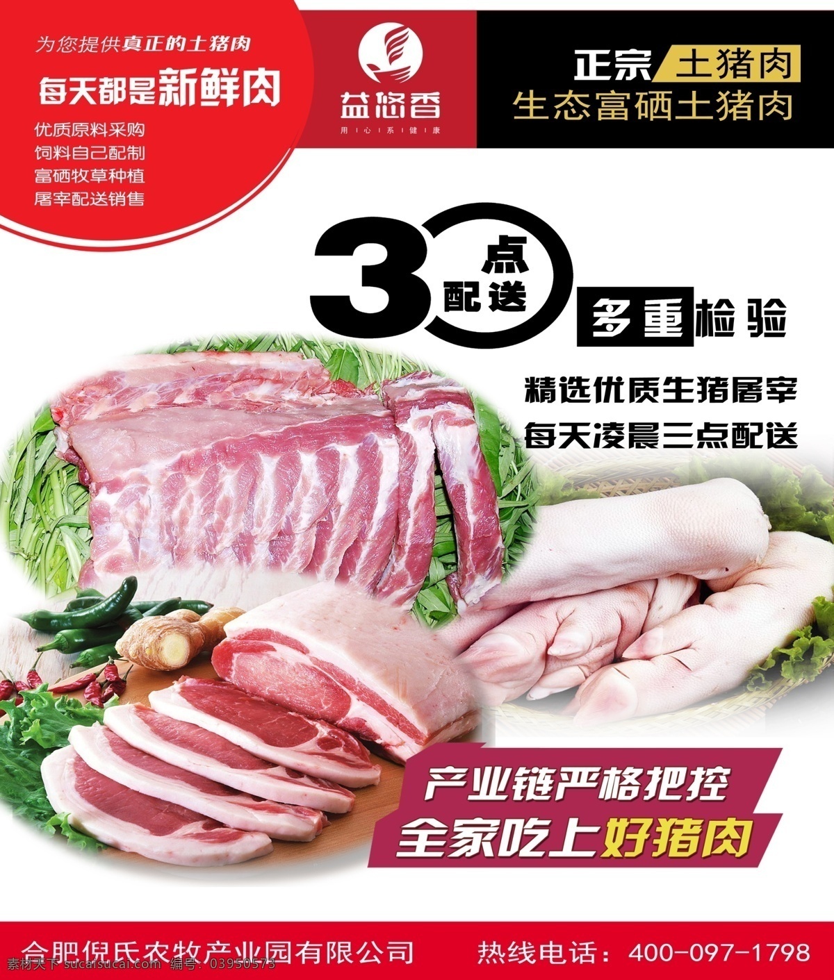 猪肉海报 公司单页 公司广告 公司介绍 猪肉 招贴设计