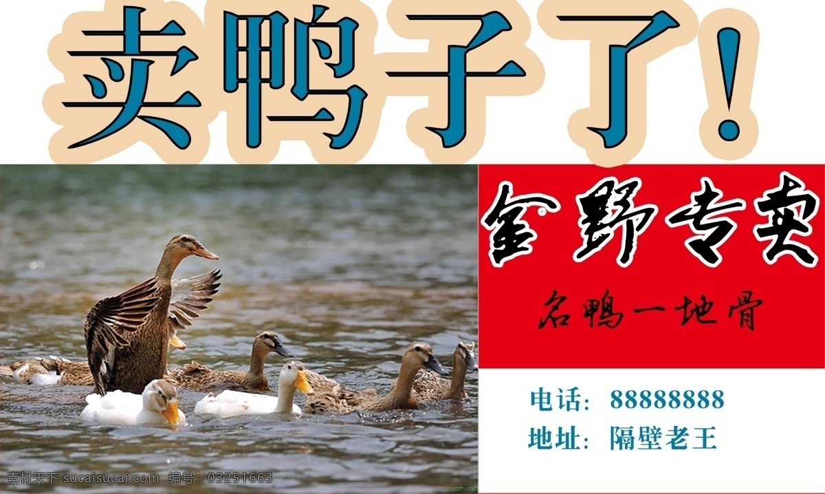 卖鸭子名片 名片 鸭子 水产 鸡鸭鹅 绿色