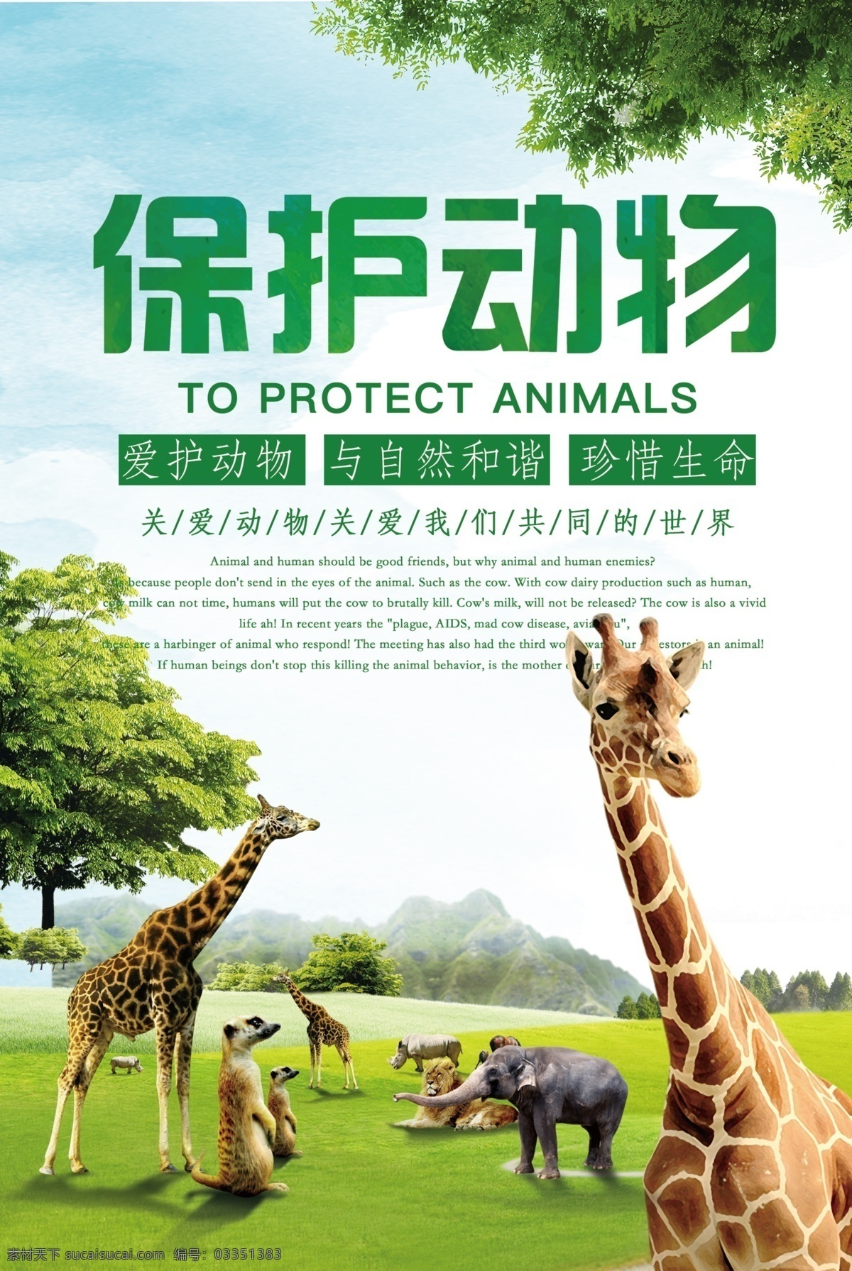 绿色 大气 保护 野生动物 公益 海报 免费海报 动物世界 狮子 保护野生动物 野外丛林 动物动物协会 爱护动物 生态平衡 保护生物 自然保护区 关爱野生动物 保护动物宣传 野生动物展板