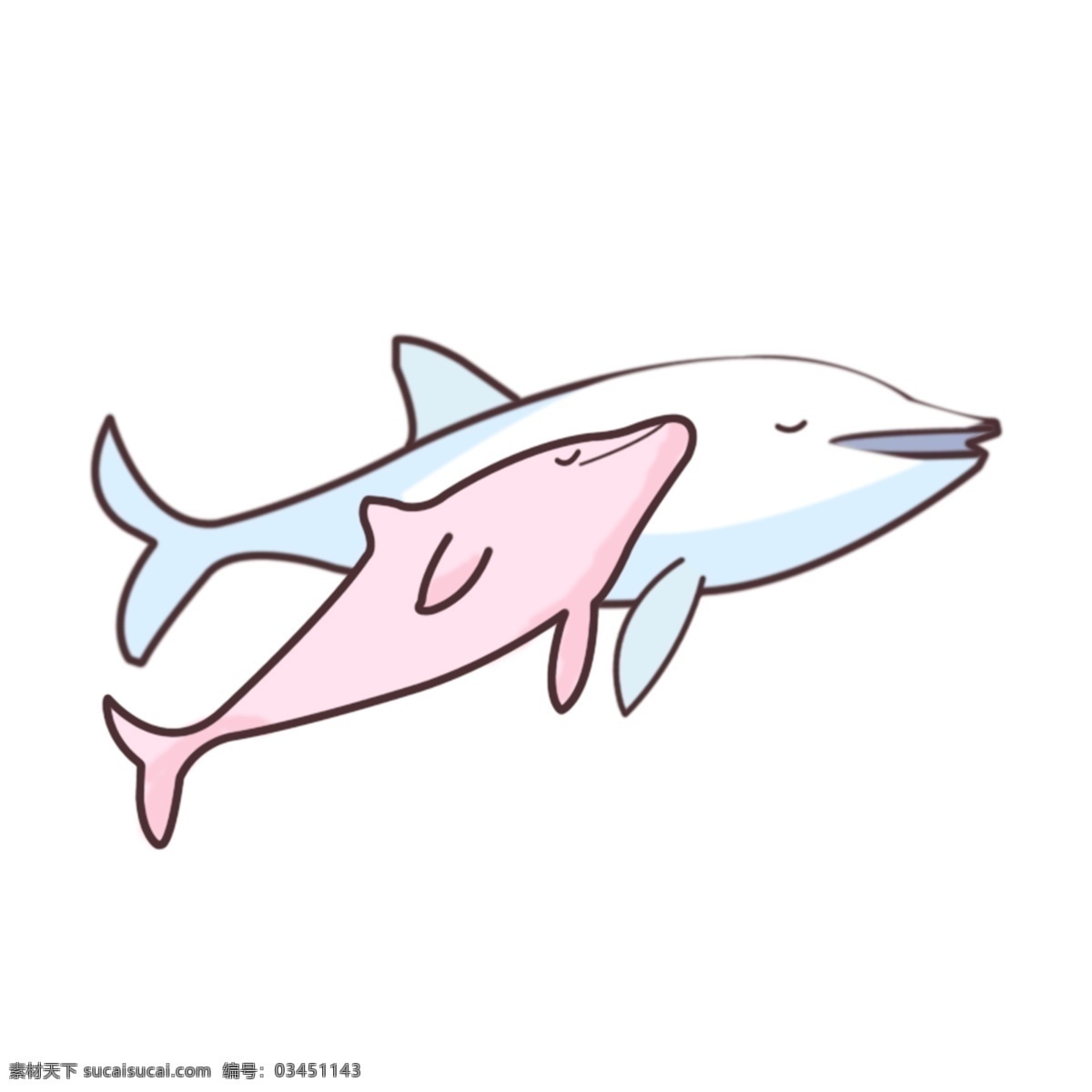 温馨 海豚 母子 亲情 海洋 动物 蓝色 小海豚 母爱 铺路动物 粉海豚