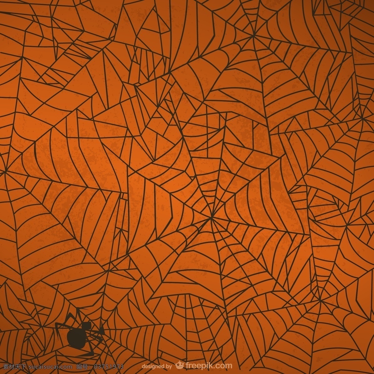 万圣节 蜘蛛网 背景 网页 艺术背景 万圣节的背景 蜘蛛 可怕的 网站的背景下 幽灵 艺术 载体 载体无 棕色