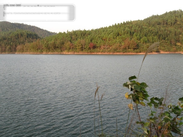 湖水免费下载 杭州 湖水 旅游摄影 山 摄影图 余杭 娘娘山 甘林水库 杭州旅游 风景图片 风景 生活 旅游餐饮