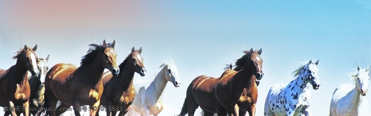 清新 梦 马 banner 背景 大气 汽车 企业文化 团队 万马奔腾 合作 拼博 比赛 以梦为马 超越 永不止步 励志 挑战