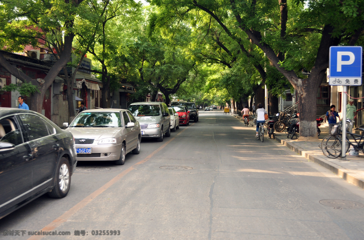 北京 林荫道 道路 国内旅游 旅游摄影 绿树 汽车 北京林荫道 停车指示牌 樟树 psd源文件
