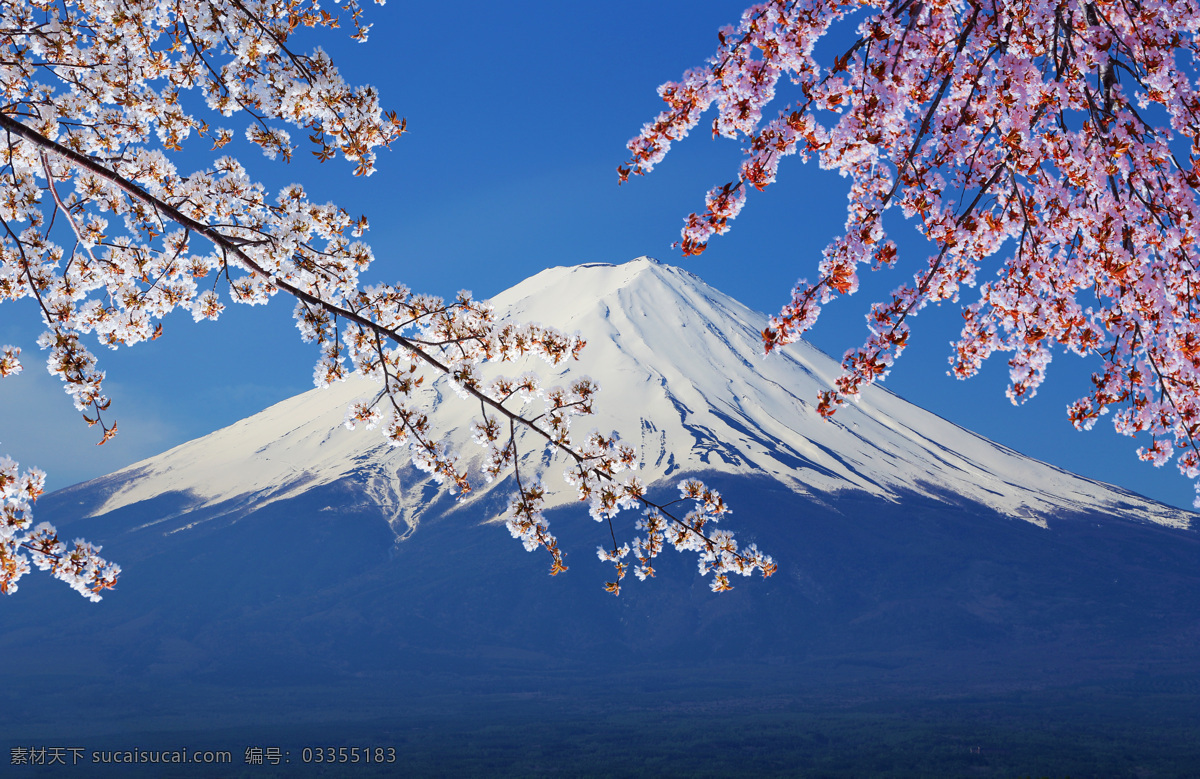 日本富士山 樱花 日本 富士山 山 雪山 日本元素 东京 国外旅游 旅游摄影 蓝色