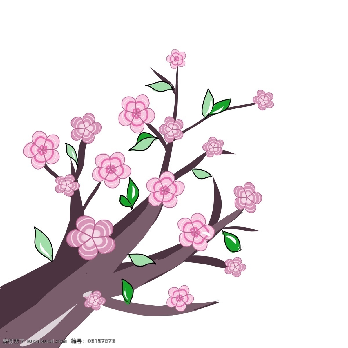 盛开 粉色 樱花 插画 春季的樱花 卡通插画 樱花插画 花朵插画 叶子插画 鲜花插画 盛开的樱花