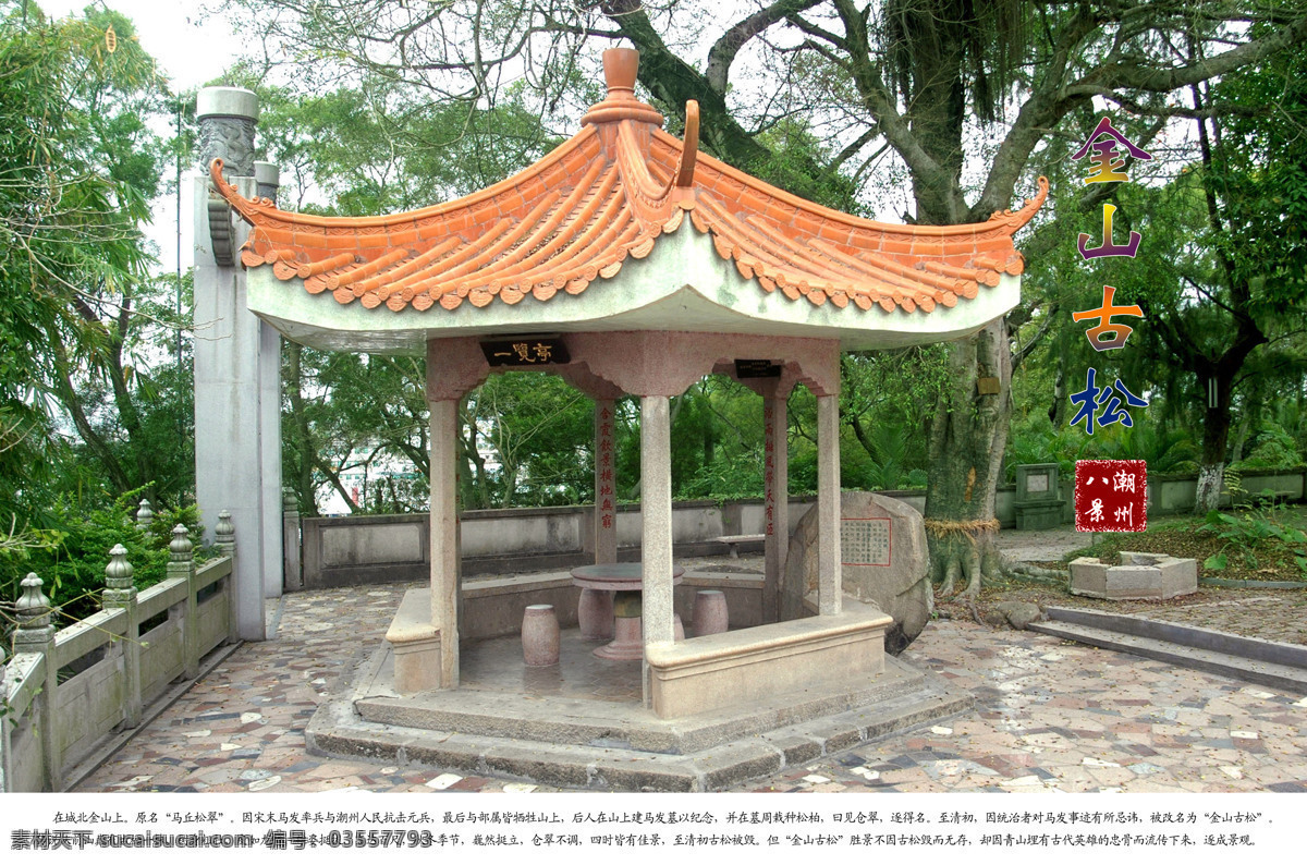 金山古松 潮州 潮州八景 旅游 风景 亭 古松 景点来历 自然景观 风景名胜 摄影图库