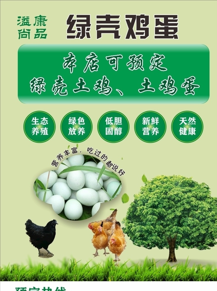 溢 康 尚品 绿 壳 鸡蛋 绿壳鸡蛋 绿色 新鲜 健康 放养