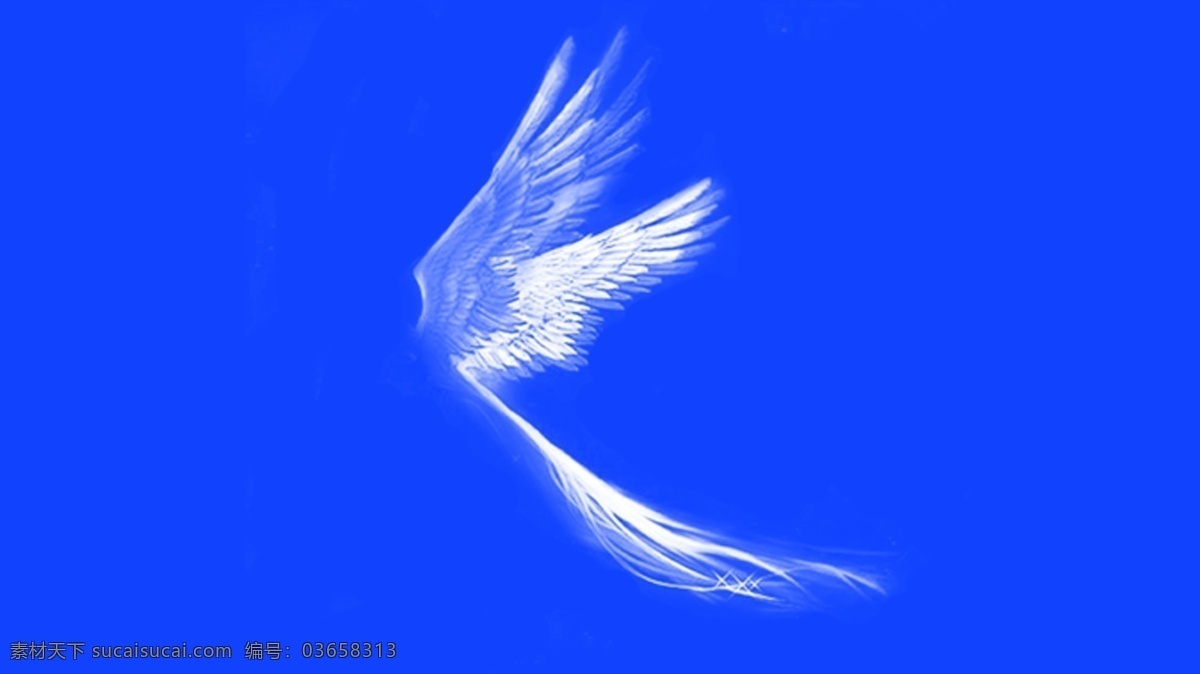 飞翔的翅膀 翅膀 白色的翅膀 飞翔 飞的翅膀 分层