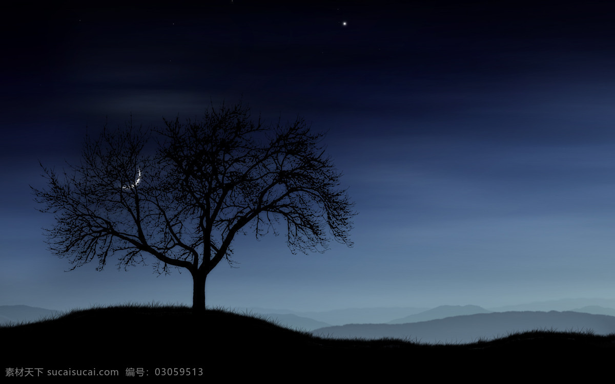 黑 树 夜晚 背景 黑色 枯树 背景图片
