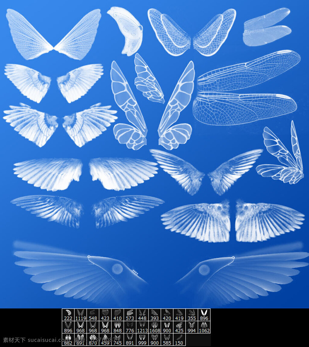 abr ps笔刷 笔刷 翅膀 蝴蝶翅膀 水墨笔刷 天使 天使翅膀 羽毛 源文件 各种 画笔 模板下载 蜻蜓翅膀