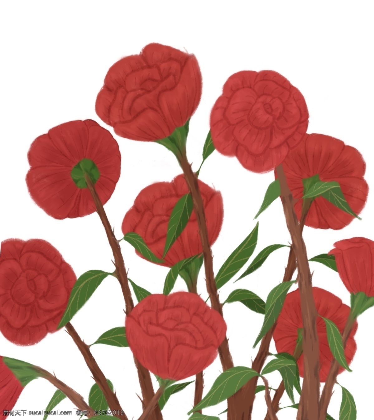 卡通 手绘 红色 玫瑰 元素 手绘花朵 情人 月季 植物 鲜花