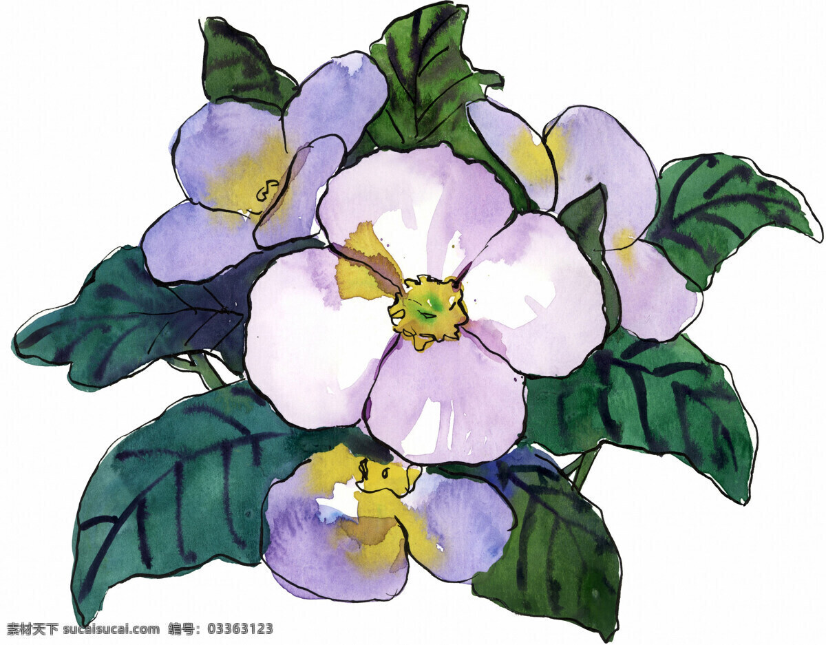花卉图案 中国画 花草图案 静物画 书画美术 设计素材 静物画篇 中国画篇 白色