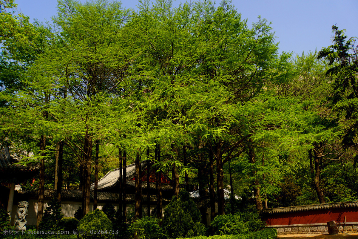 河南 鹿邑 太清宫 风景