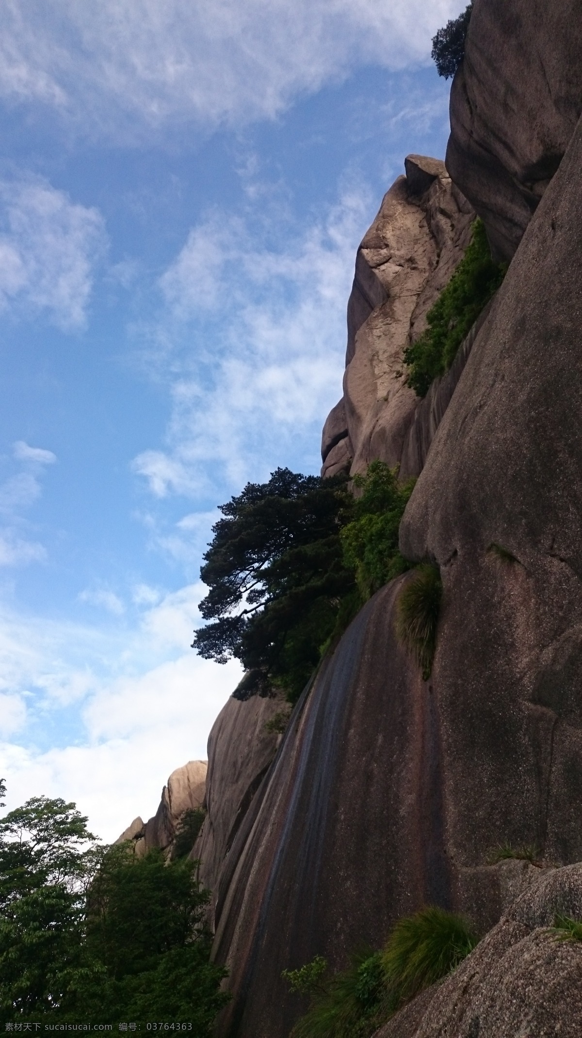 山崖 黄山 树 峭壁 石头 山 自然景观 自然风景