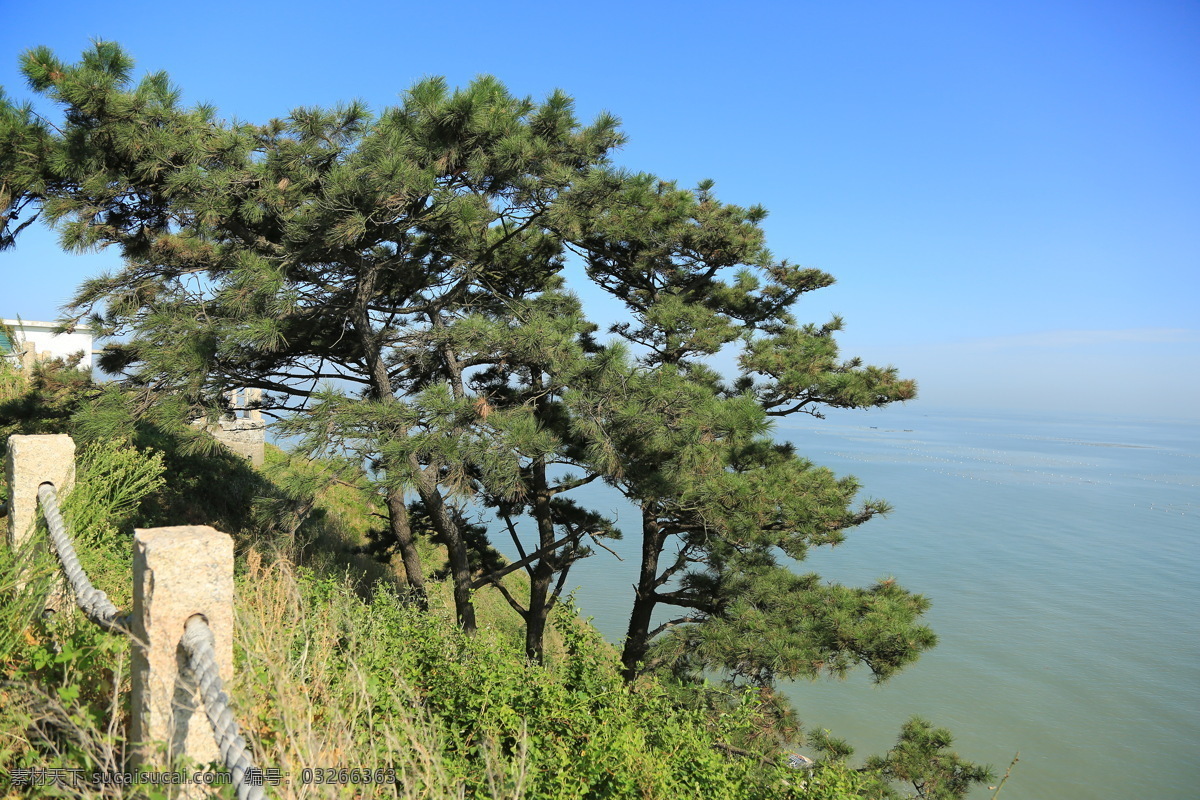 松树大海 海岛景观 秦山岛 海边 海岸 岛屿 海洋 连云港 植物 大海 松树 庙宇 岛 高清照片 自然景观 山水风景