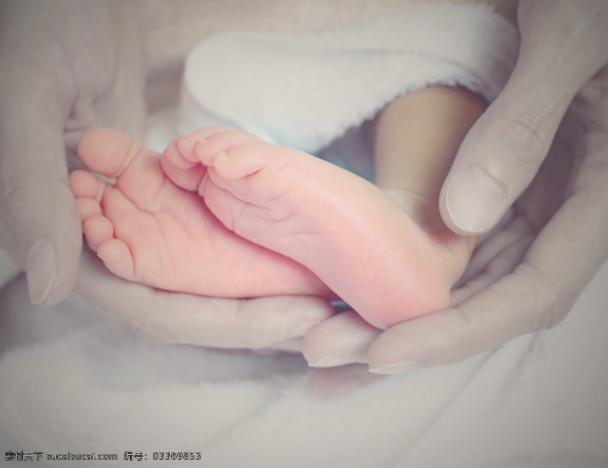 小 脚丫 婴儿的脚 新生儿 婴儿 婴幼儿 小脚丫 baby 宝宝的小脚丫 小孩的脚 人体器官图 人物图片