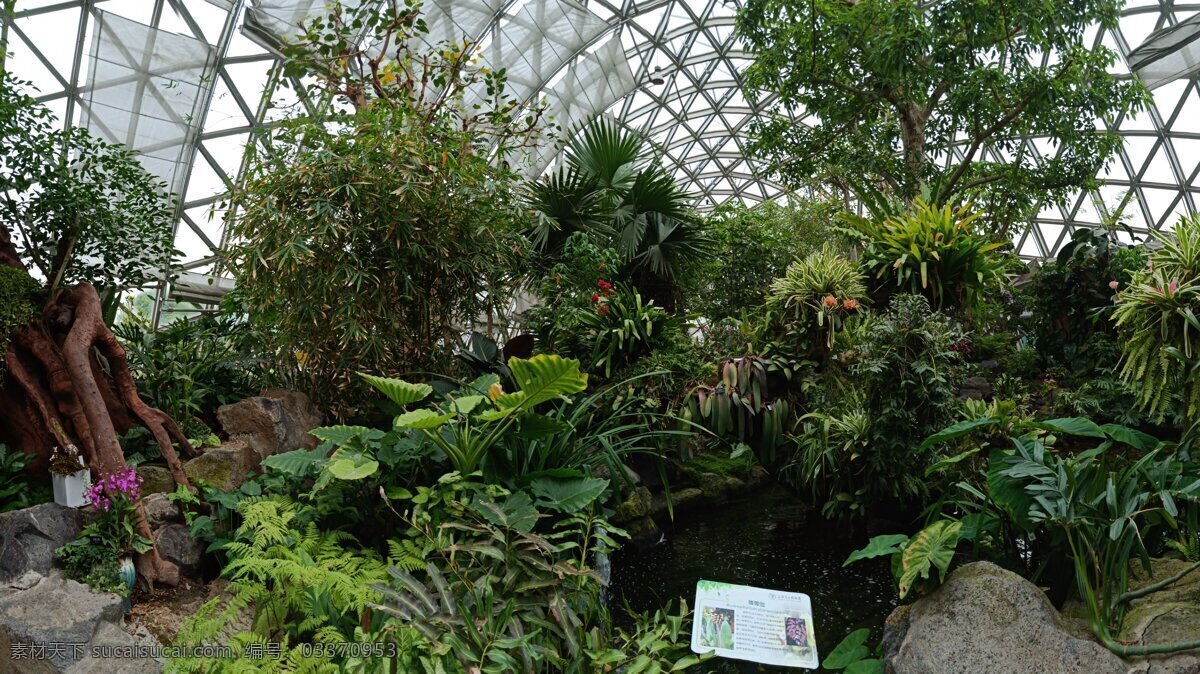 温室植物园 玻璃温室 花卉 热带植物 雨林 植物园 自然景观 自然风景