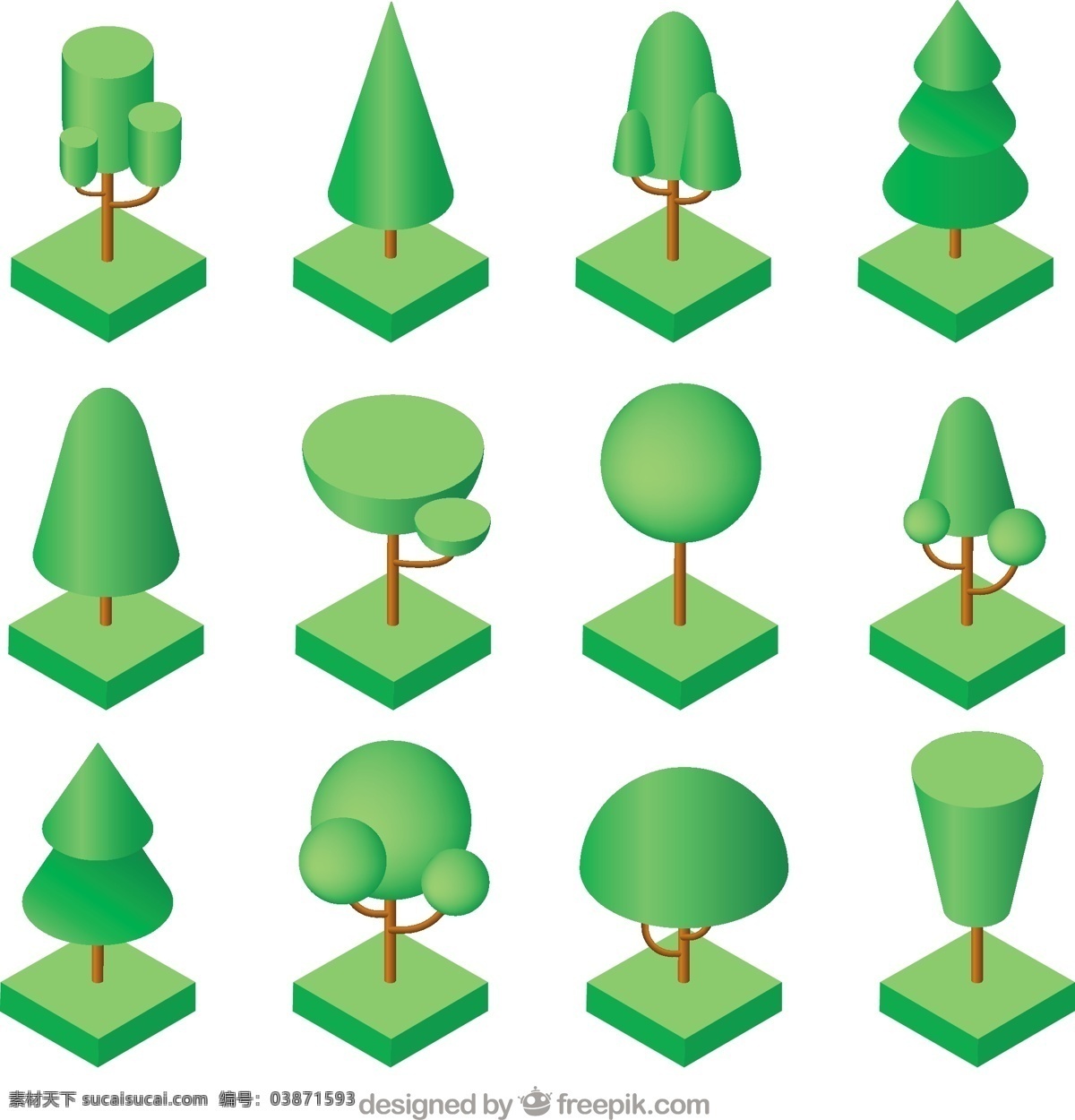 等距 中 树 类型 树木 几何 自然 森林 生态 有机 公园 植物 树叶 植被 小树林